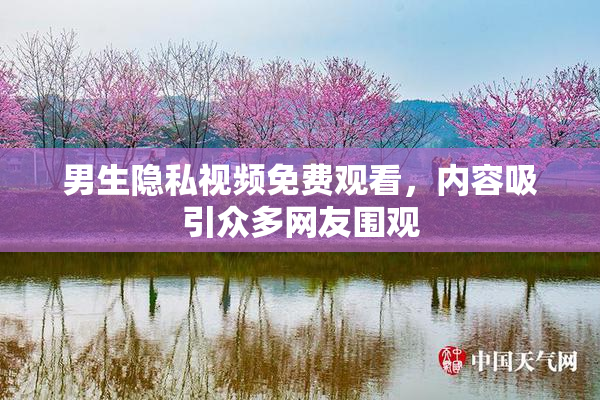 男生隐私视频免费观看，内容吸引众多网友围观