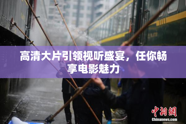 高清大片引领视听盛宴，任你畅享电影魅力