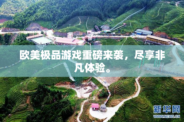 欧美极品游戏重磅来袭，尽享非凡体验。