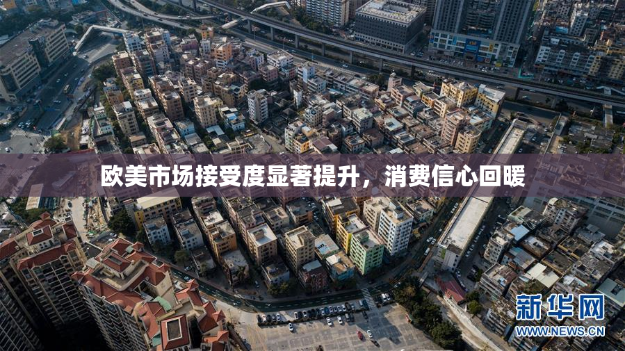 欧美市场接受度显著提升，消费信心回暖