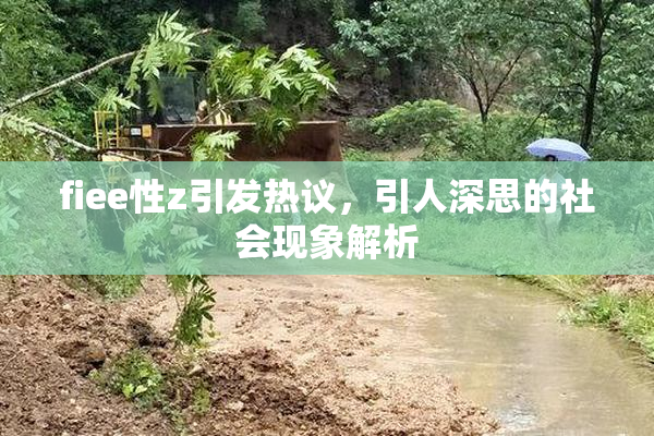 fiee性z引发热议，引人深思的社会现象解析