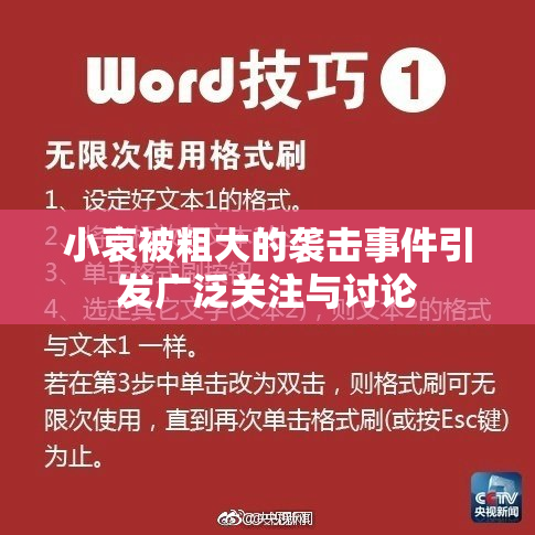 小哀被粗大的袭击事件引发广泛关注与讨论