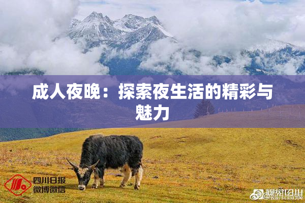 成人夜晚：探索夜生活的精彩与魅力