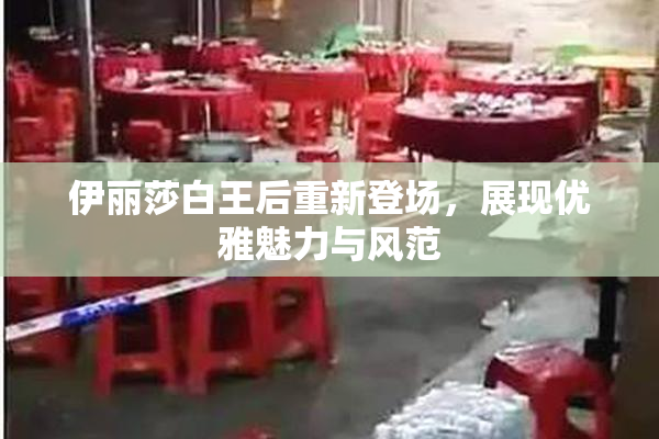 伊丽莎白王后重新登场，展现优雅魅力与风范