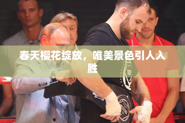春天樱花绽放，唯美景色引人入胜
