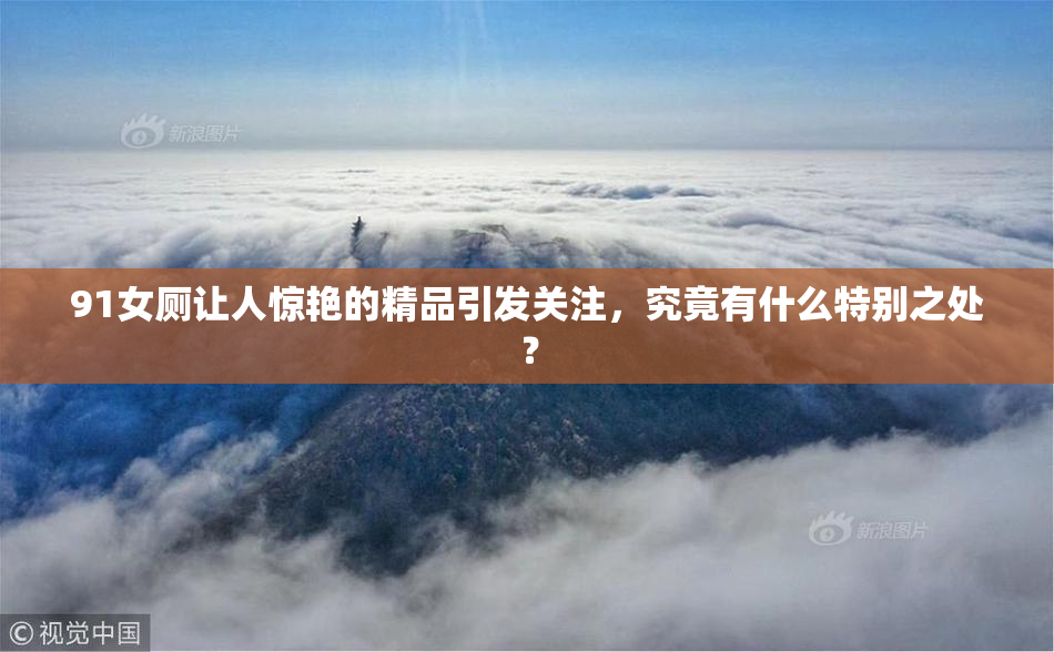 91女厕让人惊艳的精品引发关注，究竟有什么特别之处？
