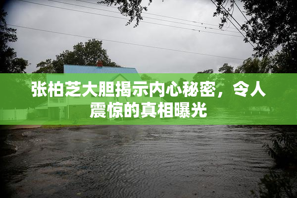 张柏芝大胆揭示内心秘密，令人震惊的真相曝光