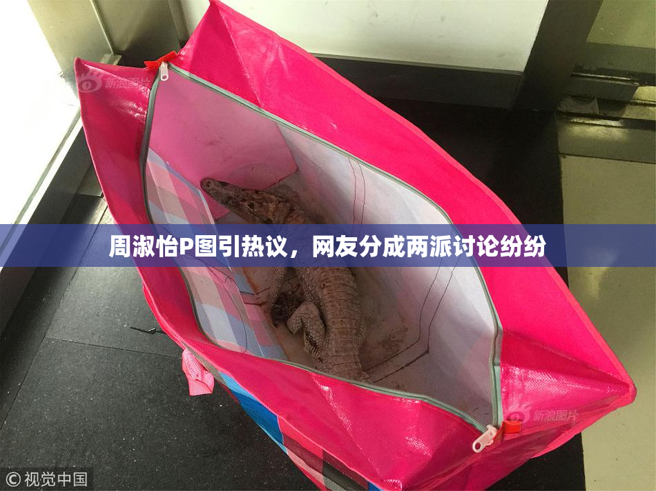 周淑怡P图引热议，网友分成两派讨论纷纷