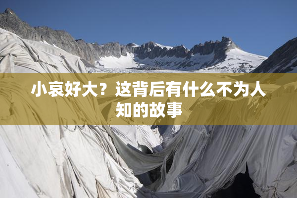 小哀好大？这背后有什么不为人知的故事