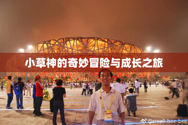 小草神的奇妙冒险与成长之旅