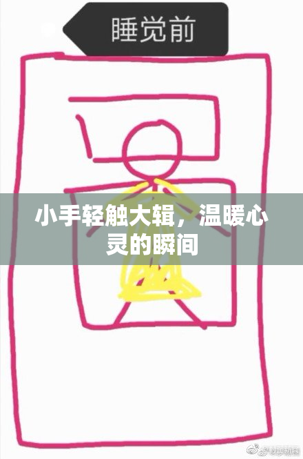 小手轻触大辑，温暖心灵的瞬间