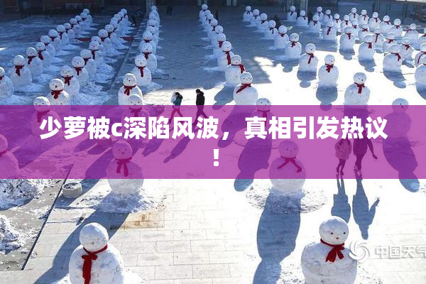 少萝被c深陷风波，真相引发热议！
