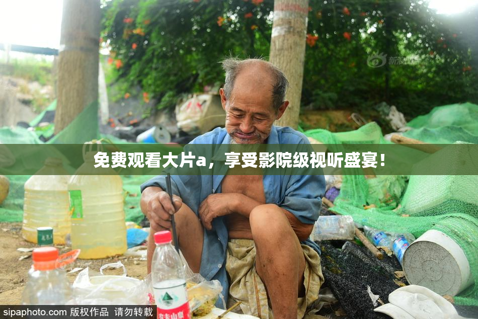 免费观看大片a，享受影院级视听盛宴！