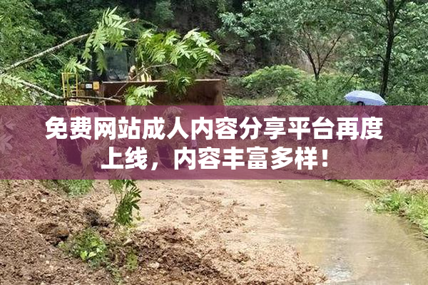免费网站成人内容分享平台再度上线，内容丰富多样！