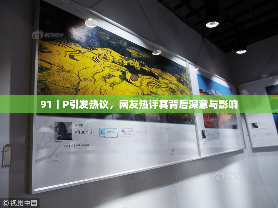 91丨P引发热议，网友热评其背后深意与影响