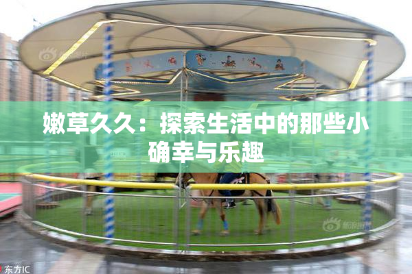 嫩草久久：探索生活中的那些小确幸与乐趣