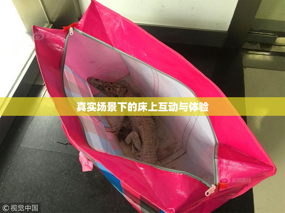 真实场景下的床上互动与体验