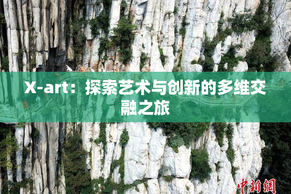 X-art：探索艺术与创新的多维交融之旅