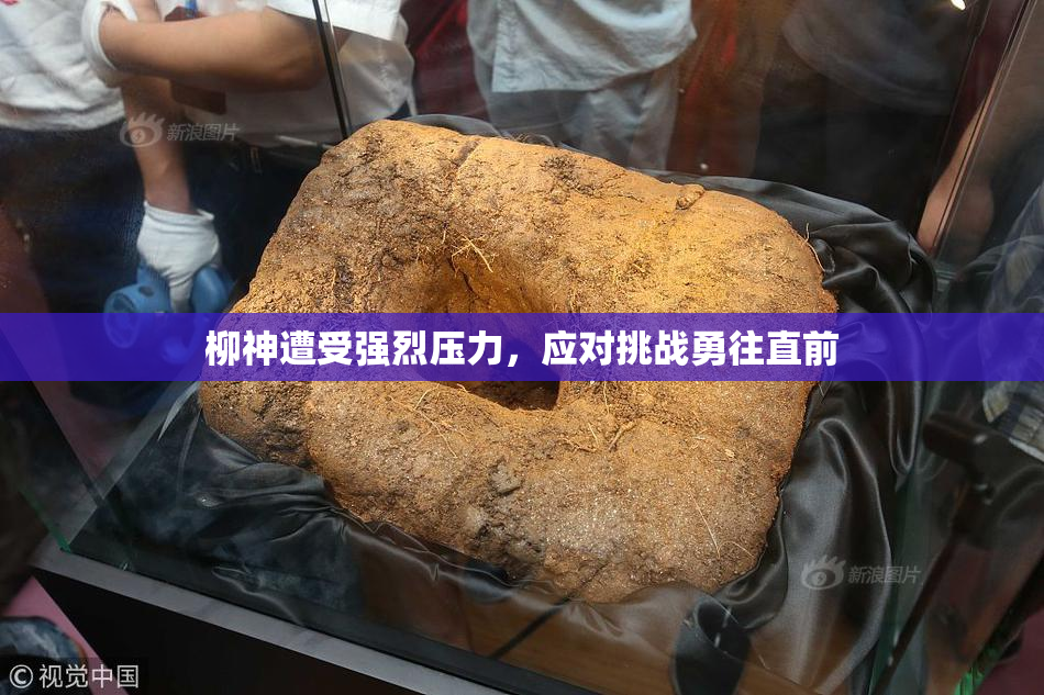 柳神遭受强烈压力，应对挑战勇往直前