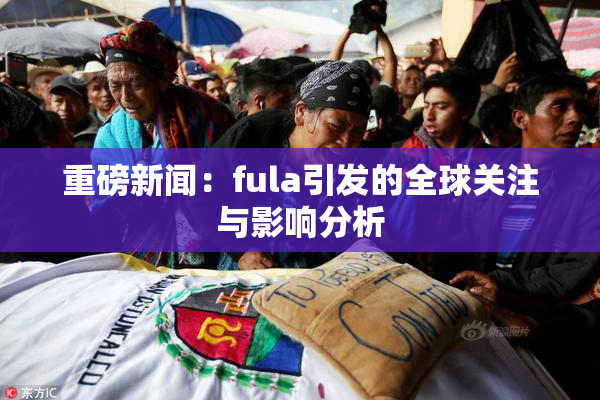 重磅新闻：fula引发的全球关注与影响分析