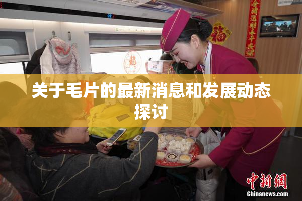 关于毛片的最新消息和发展动态探讨