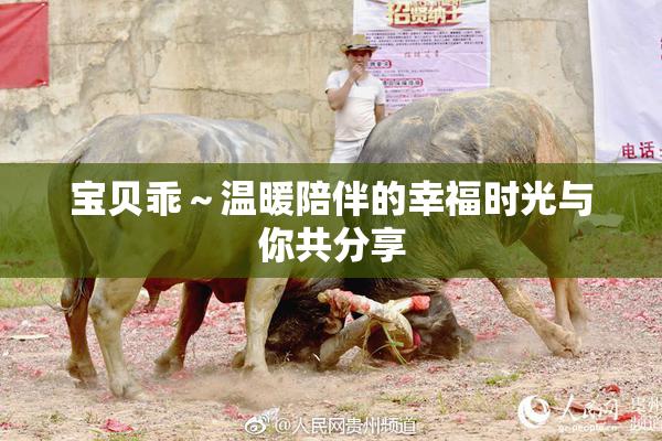 宝贝乖～温暖陪伴的幸福时光与你共分享