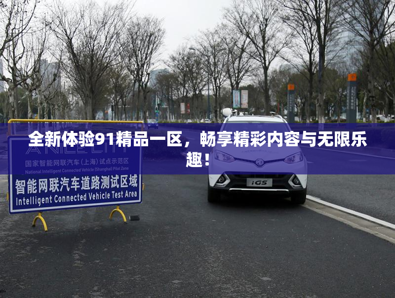 全新体验91精品一区，畅享精彩内容与无限乐趣！