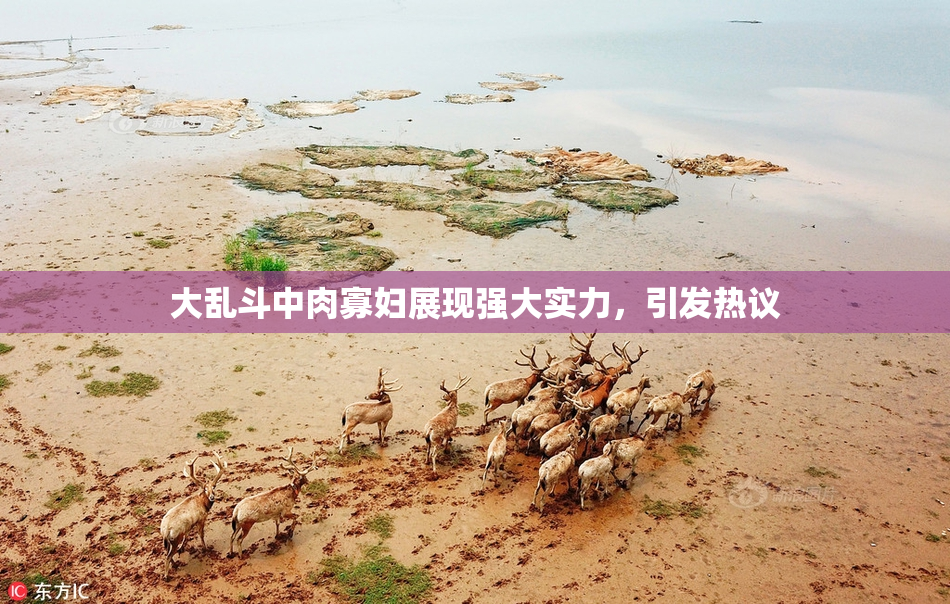 大乱斗中肉寡妇展现强大实力，引发热议