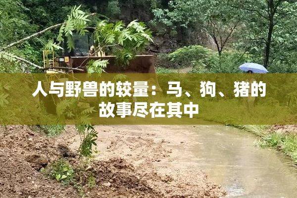 人与野兽的较量：马、狗、猪的故事尽在其中