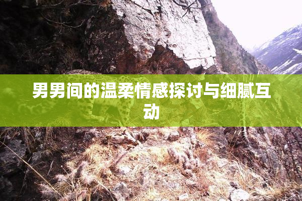 男男间的温柔情感探讨与细腻互动