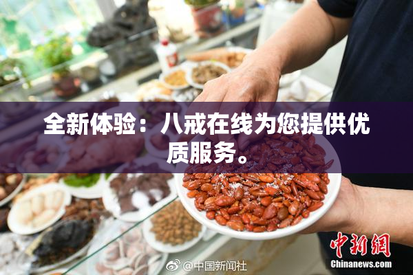 全新体验：八戒在线为您提供优质服务。