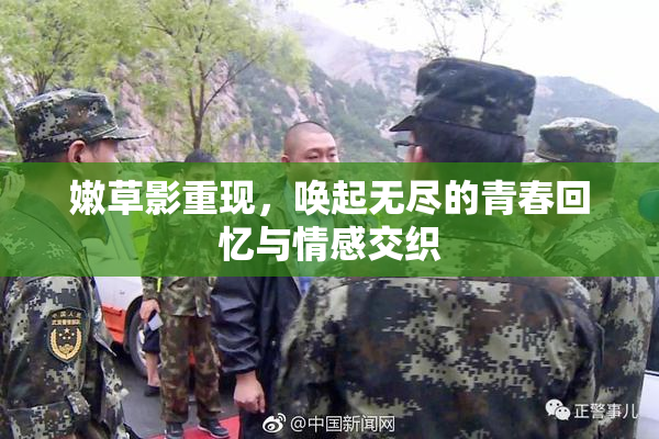 嫩草影重现，唤起无尽的青春回忆与情感交织