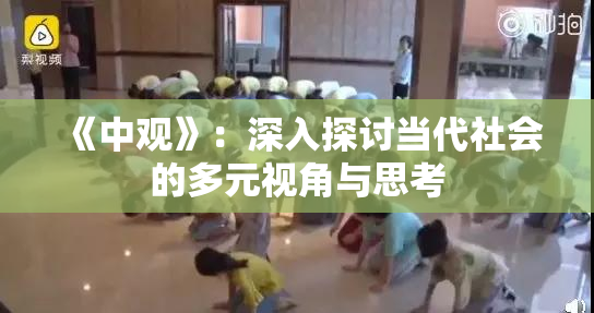 《中观》：深入探讨当代社会的多元视角与思考