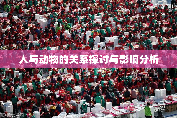 人与动物的关系探讨与影响分析
