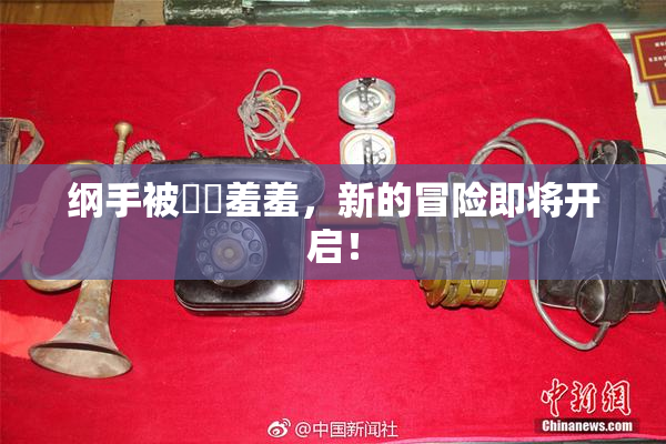 纲手被❌‌羞羞，新的冒险即将开启！