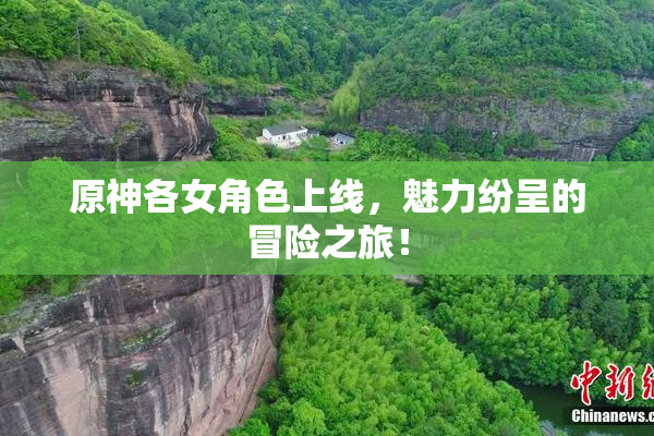 原神各女角色上线，魅力纷呈的冒险之旅！