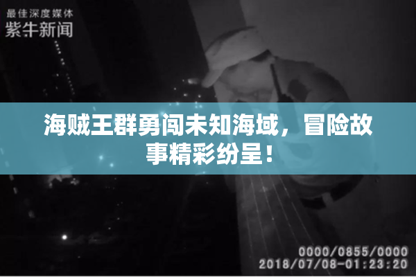 海贼王群勇闯未知海域，冒险故事精彩纷呈！