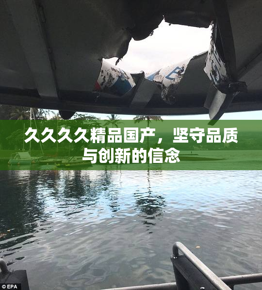 久久久久精品国产，坚守品质与创新的信念