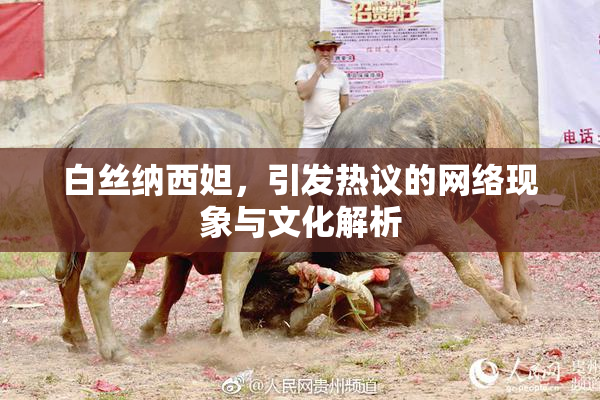 白丝纳西妲，引发热议的网络现象与文化解析