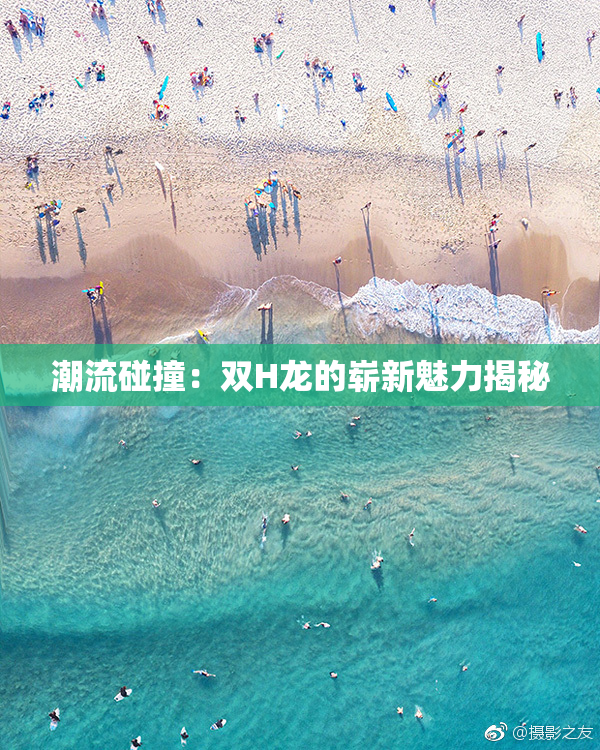 潮流碰撞：双H龙的崭新魅力揭秘