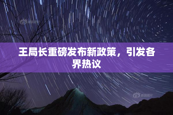 王局长重磅发布新政策，引发各界热议
