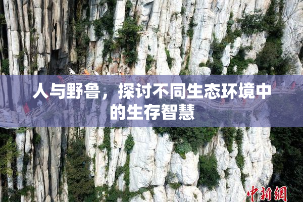人与野鲁，探讨不同生态环境中的生存智慧