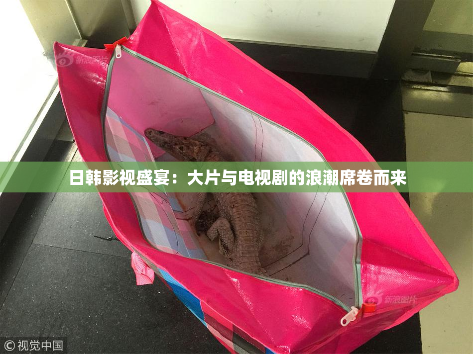 日韩影视盛宴：大片与电视剧的浪潮席卷而来