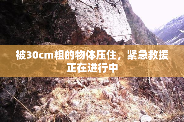 被30cm粗的物体压住，紧急救援正在进行中