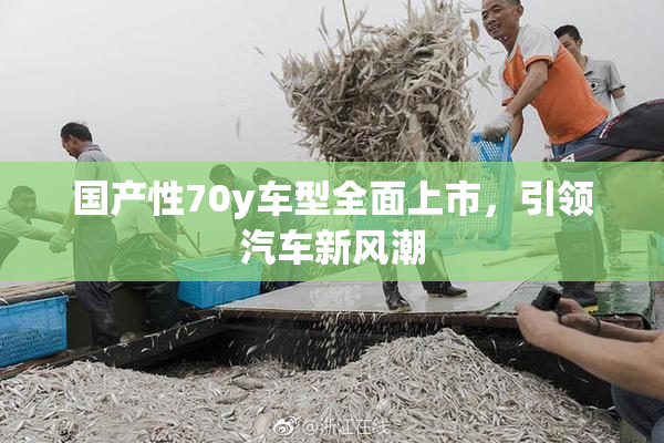 国产性70y车型全面上市，引领汽车新风潮