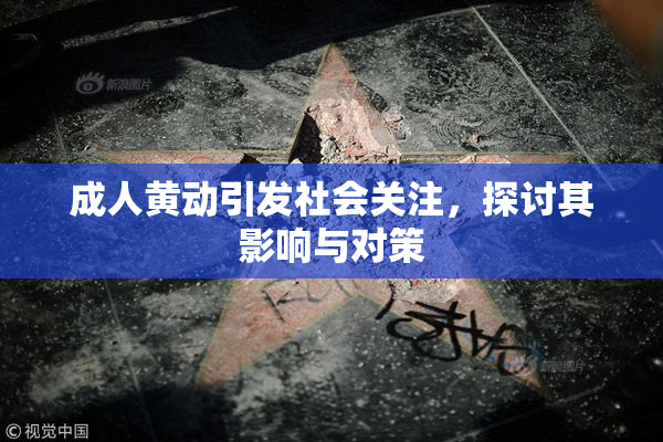 成人黄动引发社会关注，探讨其影响与对策