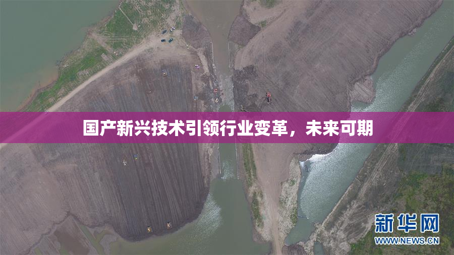 国产新兴技术引领行业变革，未来可期
