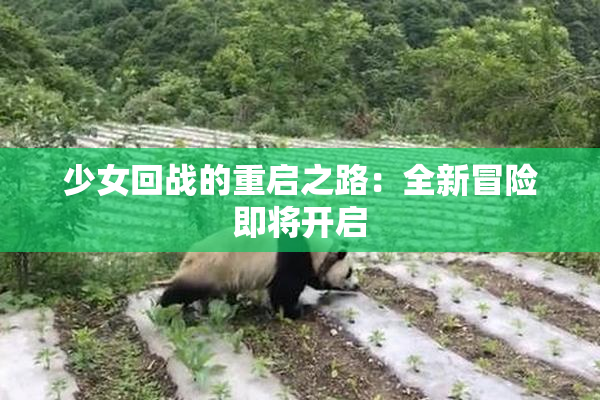 少女回战的重启之路：全新冒险即将开启