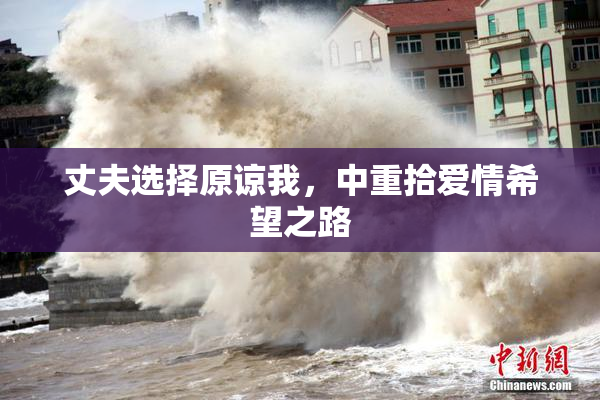 丈夫选择原谅我，中重拾爱情希望之路