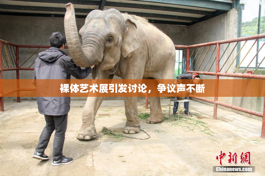 裸体艺术展引发讨论，争议声不断